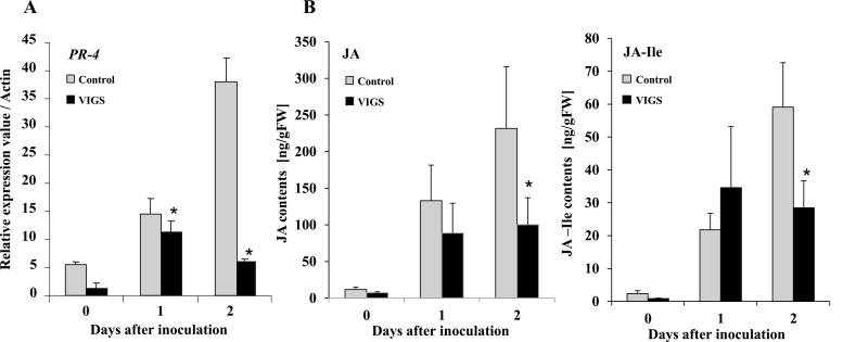 Fig. 3.