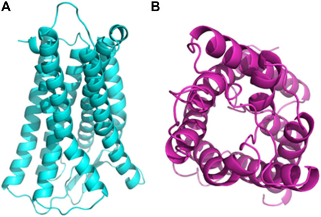 FIGURE 1