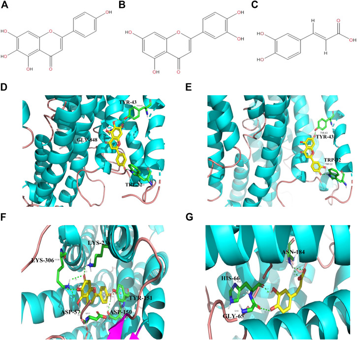 FIGURE 2