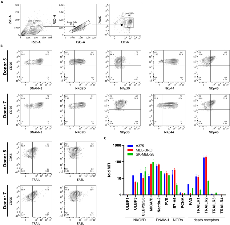 Figure 4