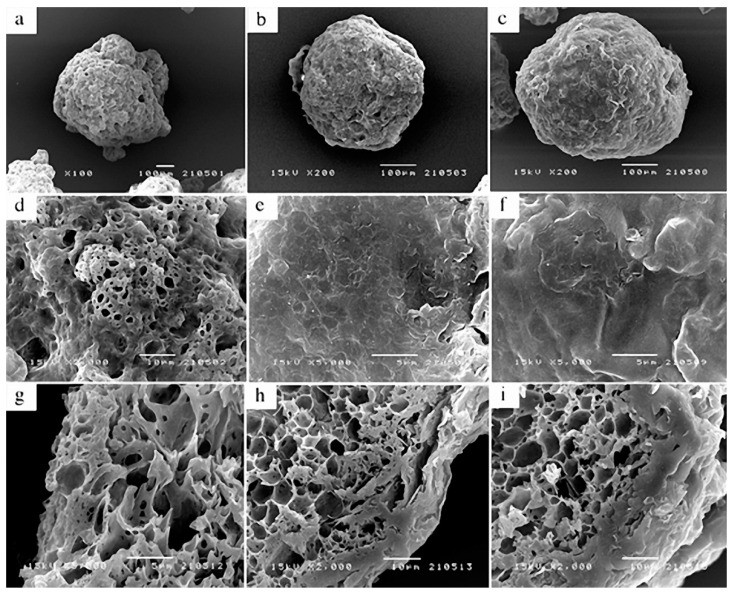 Figure 21