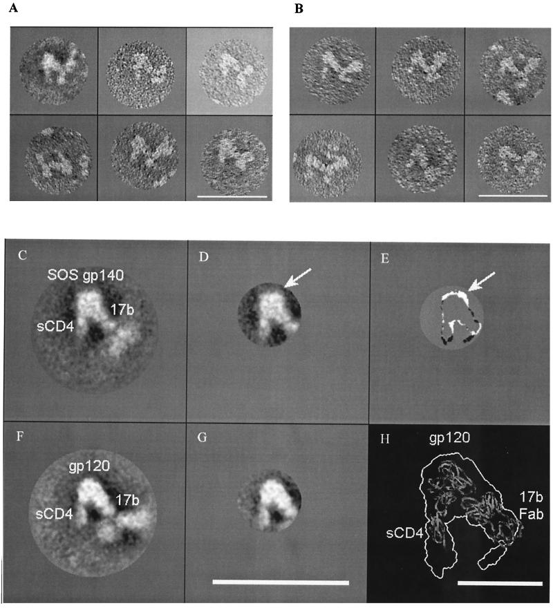 FIG. 4.