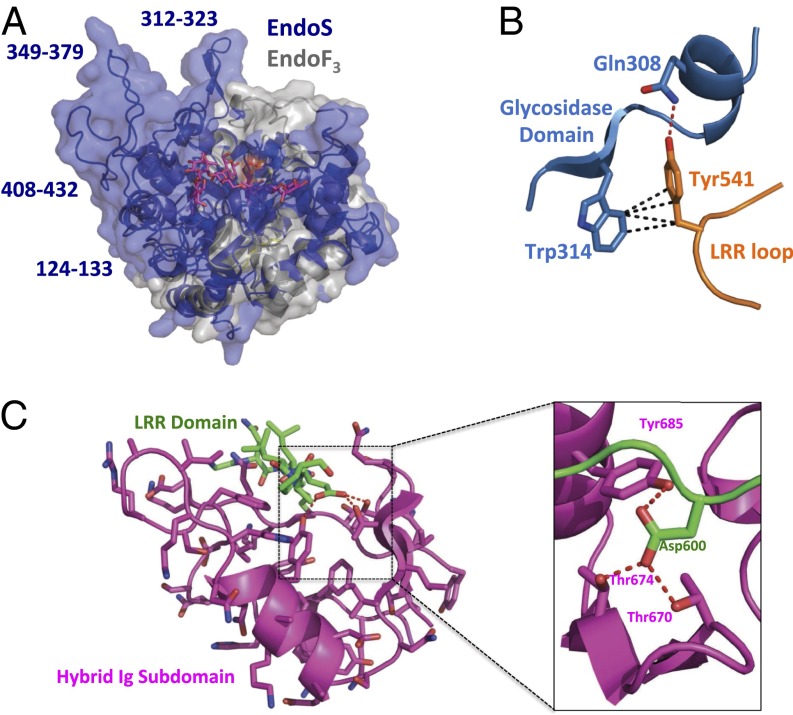 Fig. 2.