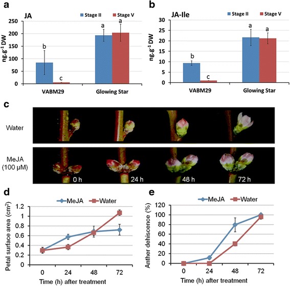 A stable JAZ protein from peach mediates the transition from ...