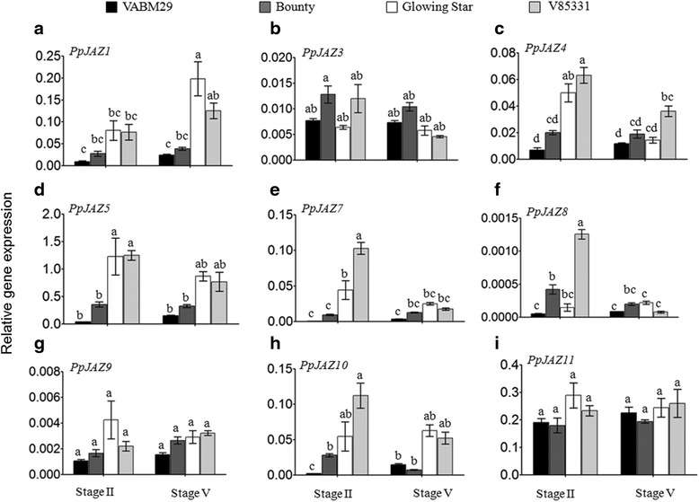 A stable JAZ protein from peach mediates the transition from ...