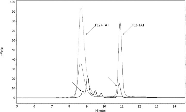 FIGURE 1.