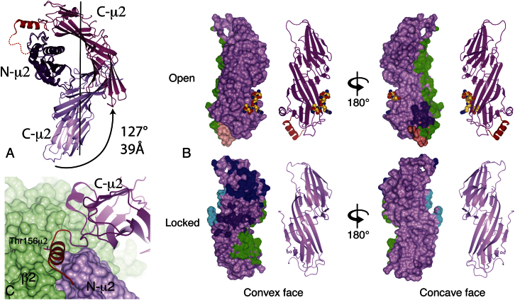 Figure 4