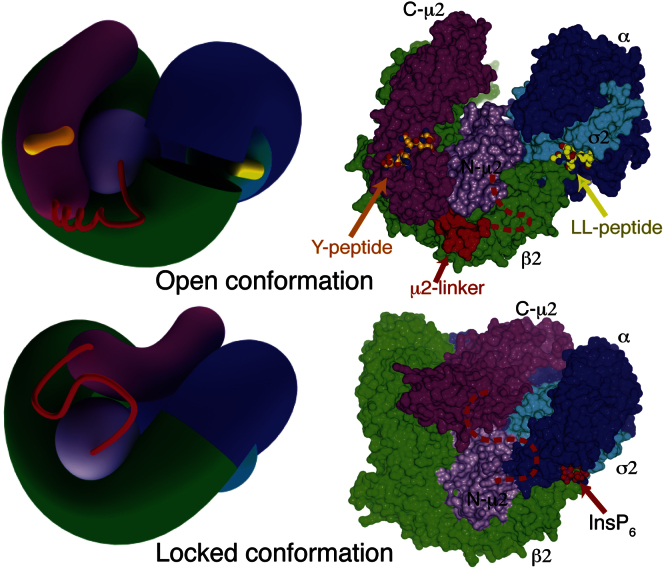 Figure 3