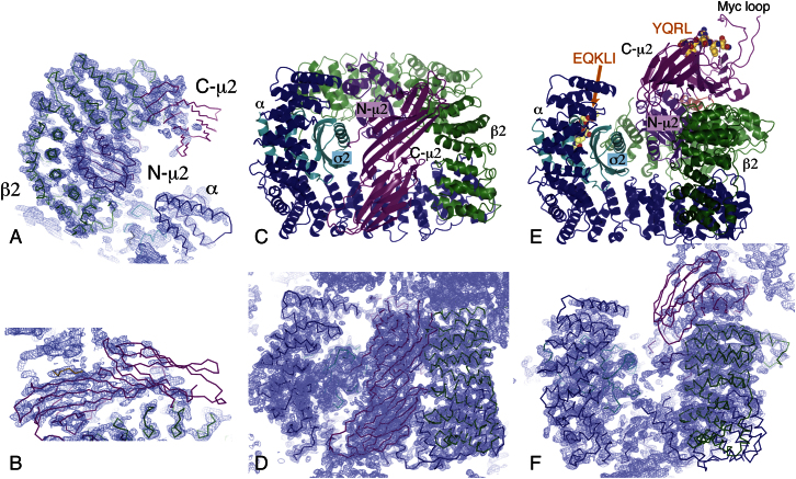 Figure 1