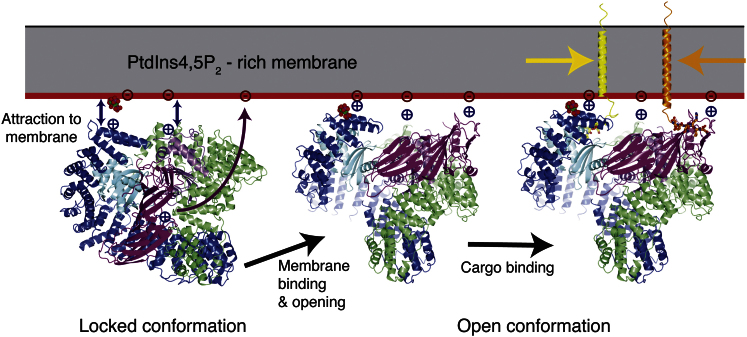 Figure 7