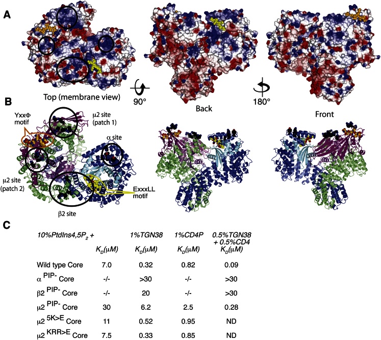 Figure 5