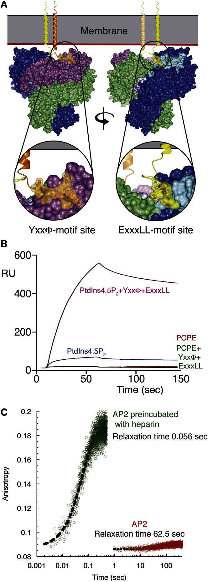 Figure 6