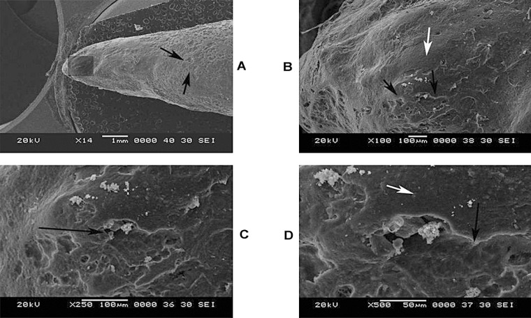 FIGURE 3