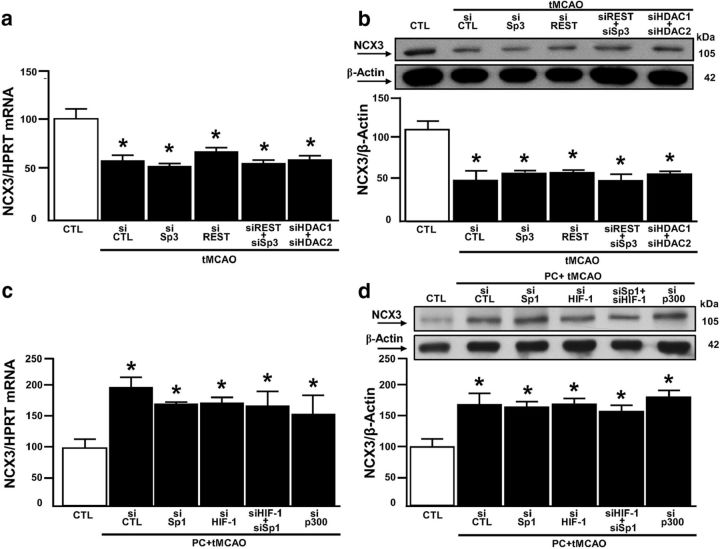 Figure 10.