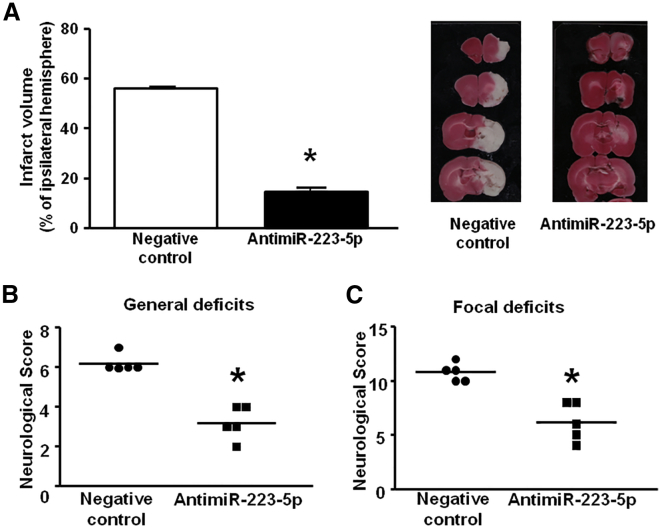 Figure 6