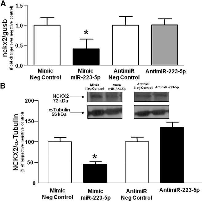 Figure 5