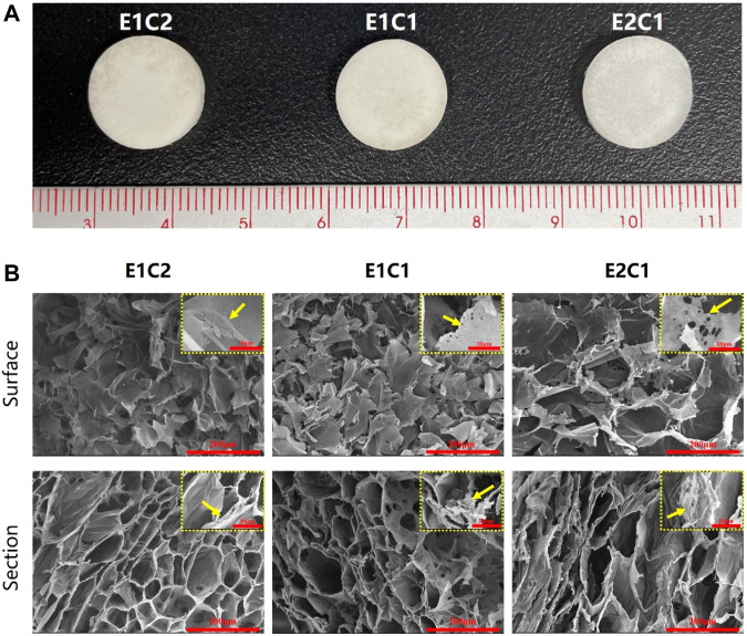 FIGURE 3