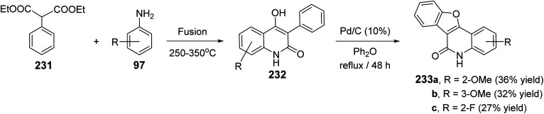 Scheme 77