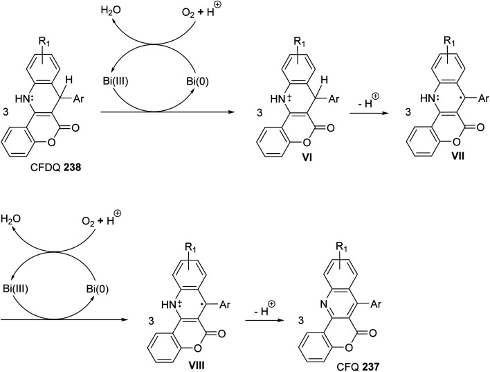 Scheme 81