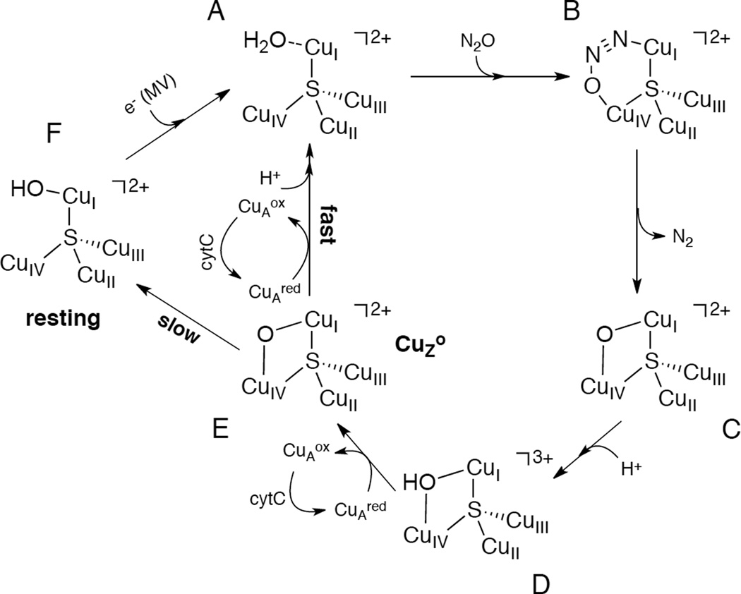 Figure 247