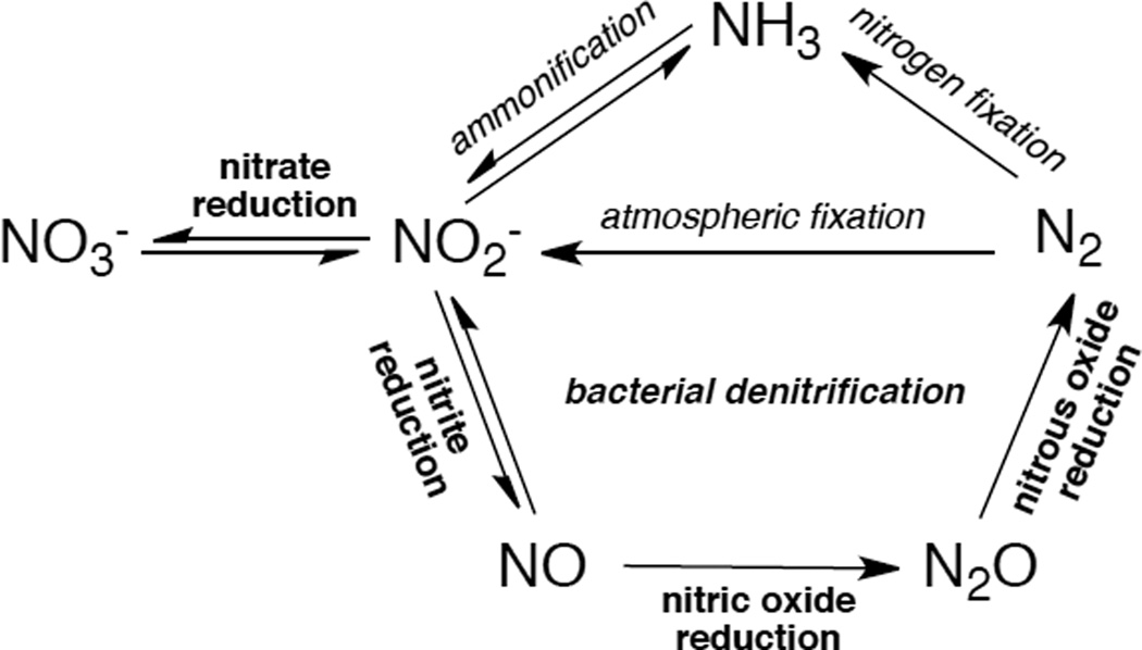 Figure 226