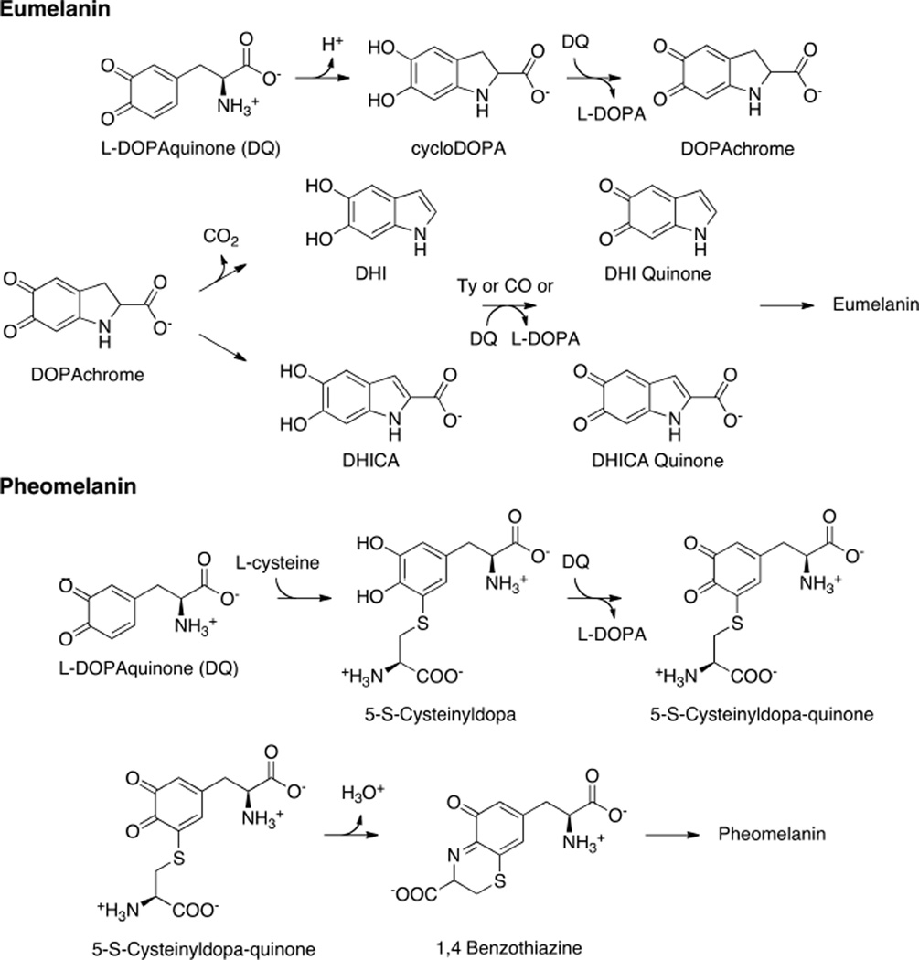 Figure 56