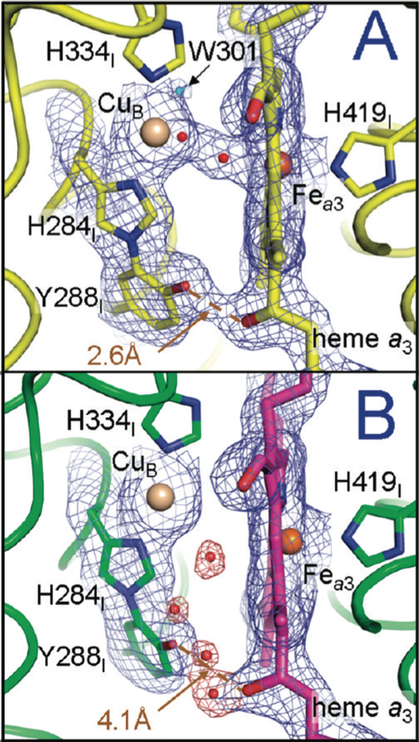 Figure 204