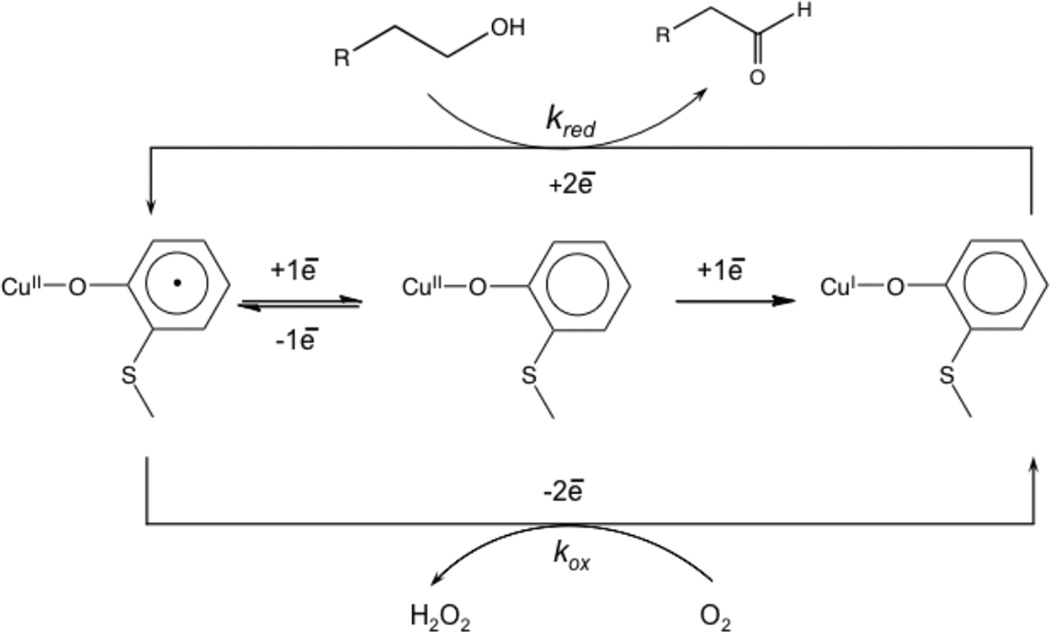 Figure 104