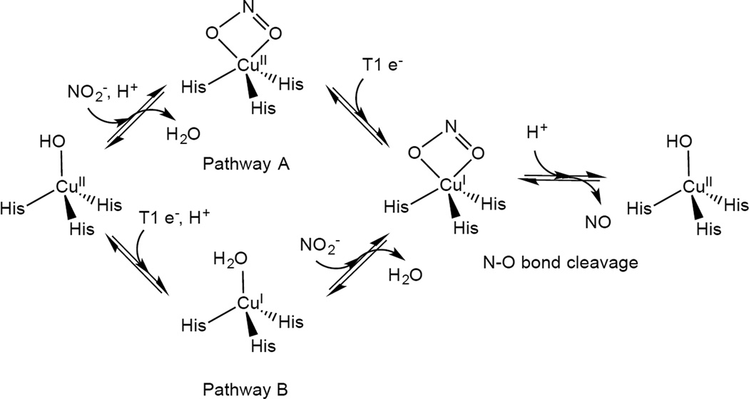 Figure 231