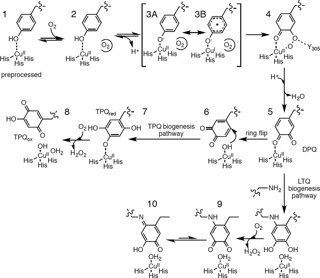 Figure 224