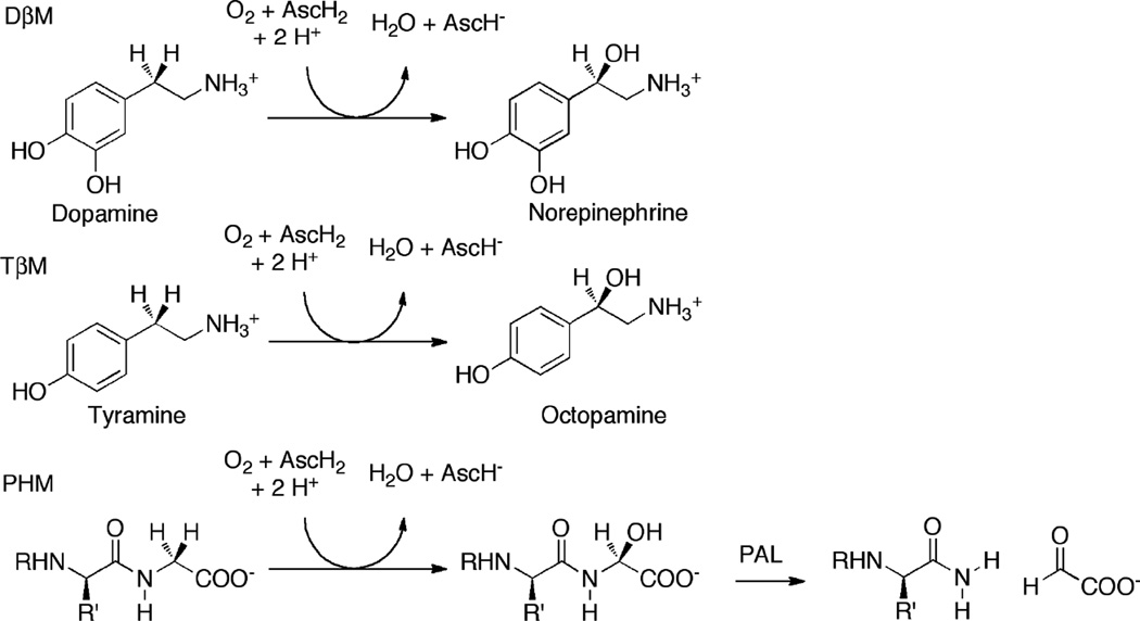 Figure 78