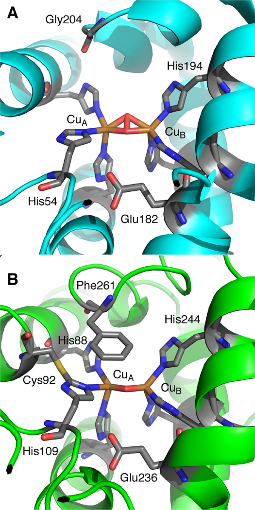 Figure 61