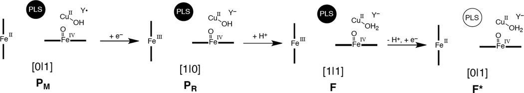 Figure 205