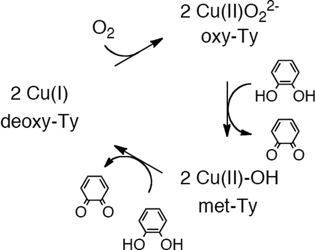 Figure 58