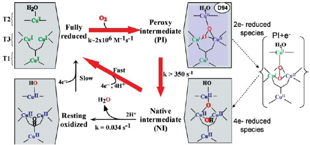 Figure 161