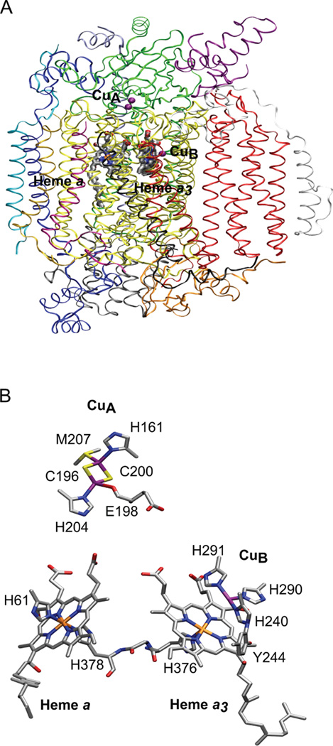 Figure 184