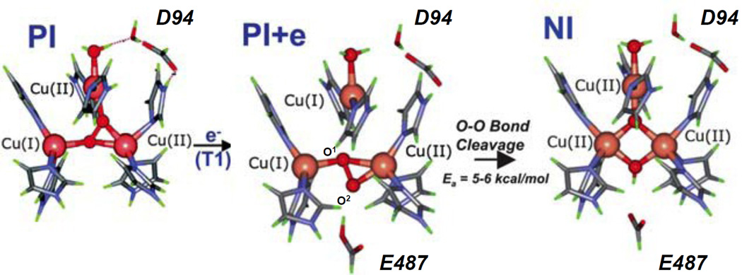 Figure 171