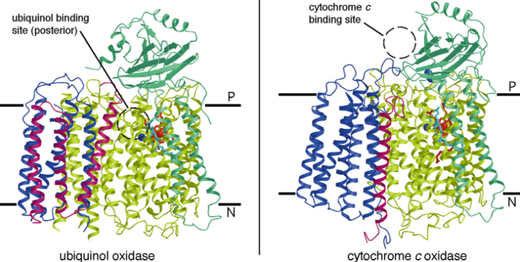 Figure 185