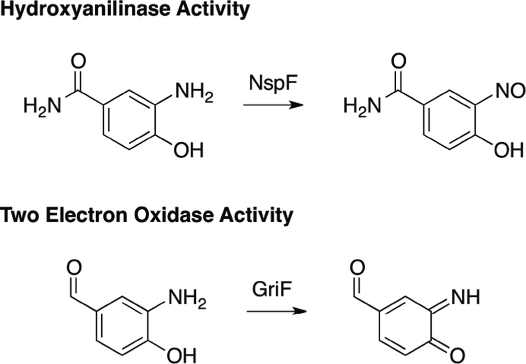 Figure 57