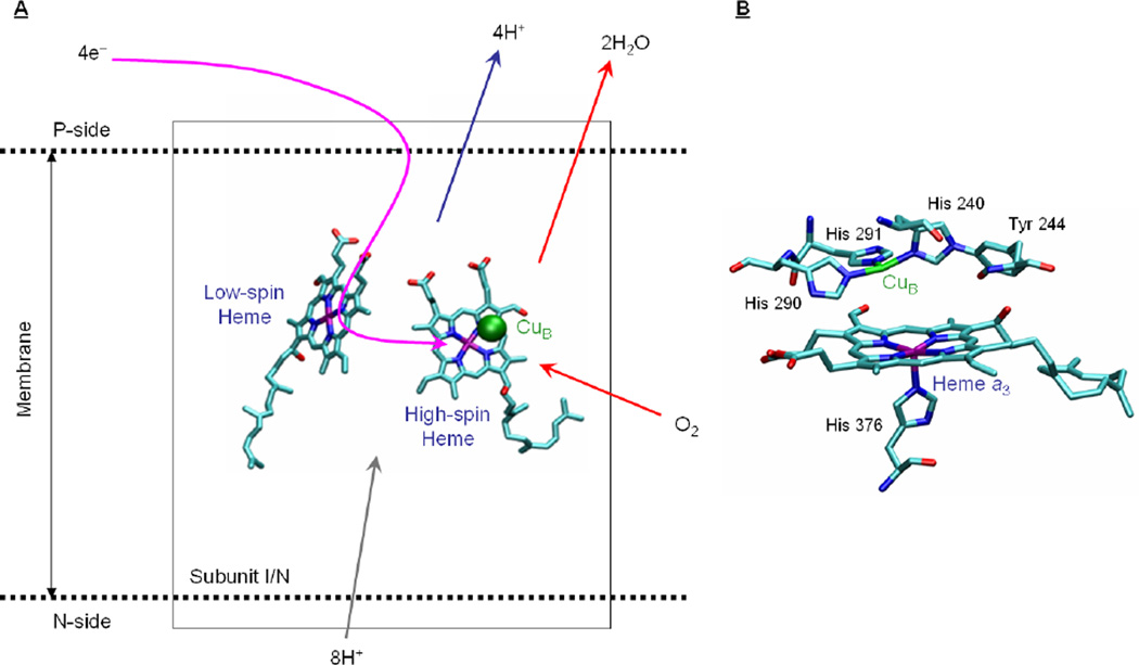 Figure 177