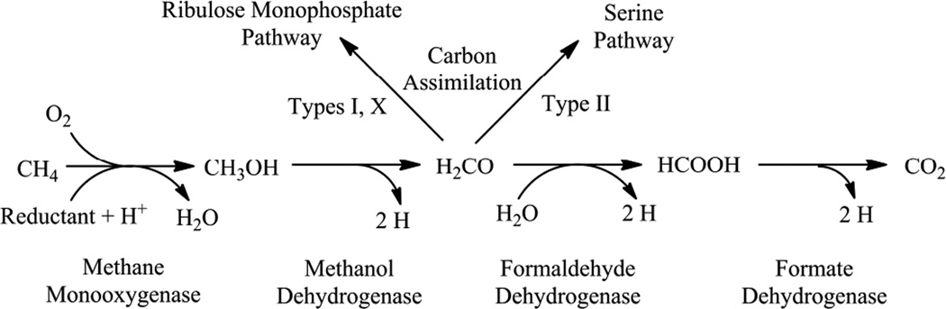 Figure 116