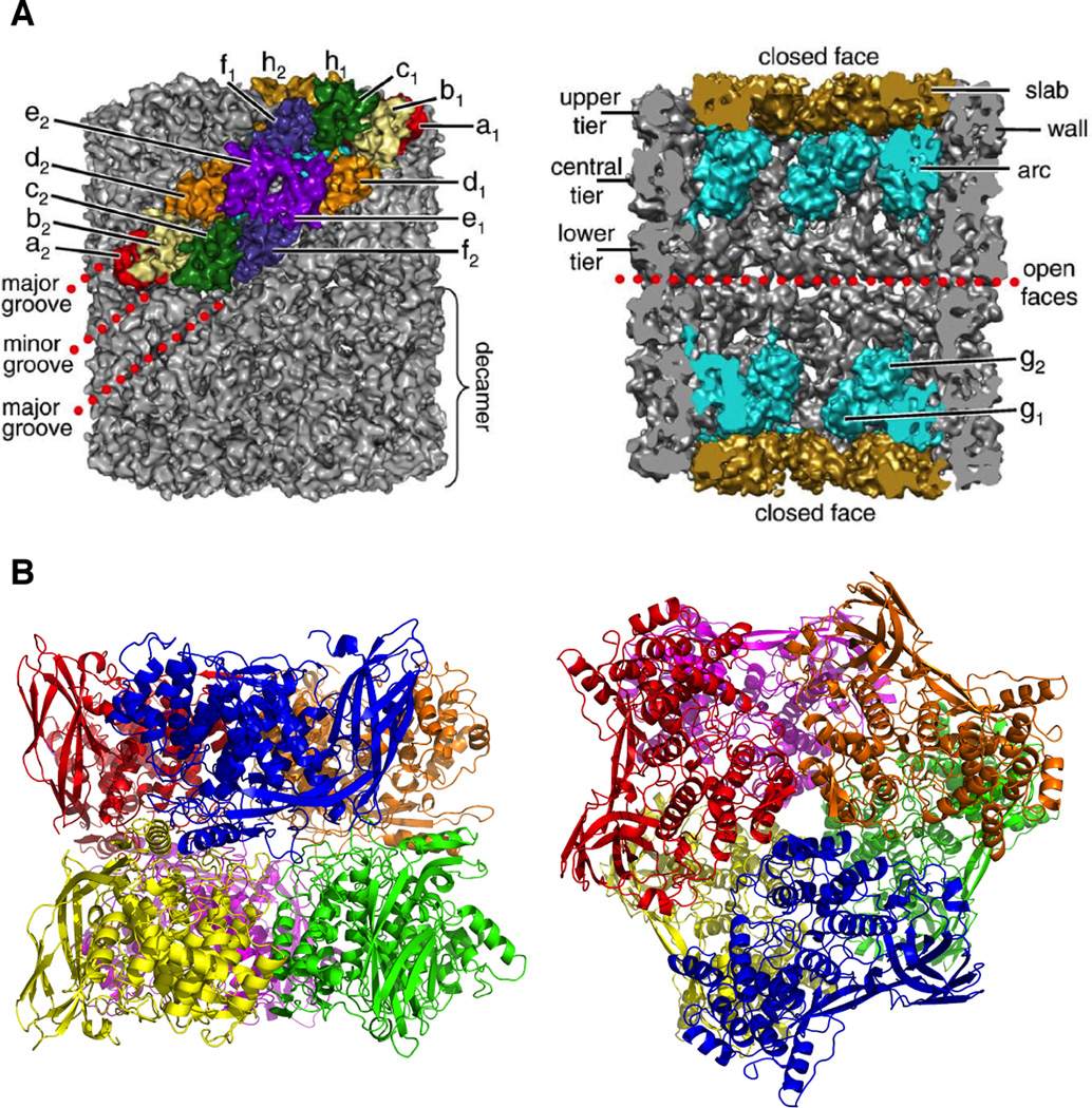 Figure 34