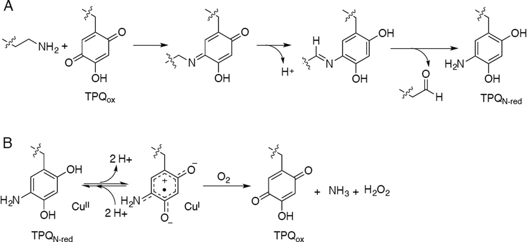 Figure 215