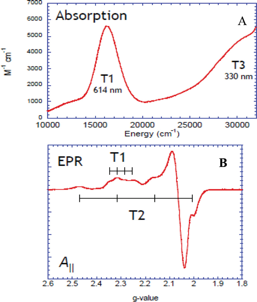 Figure 142