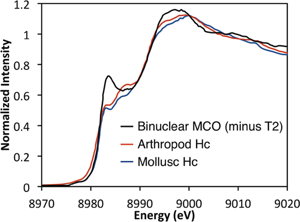 Figure 51