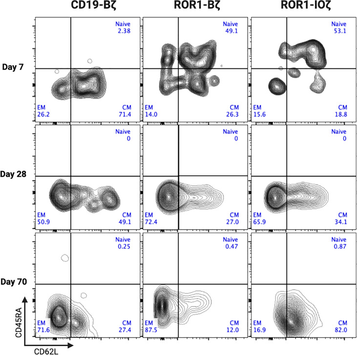 Figure 5