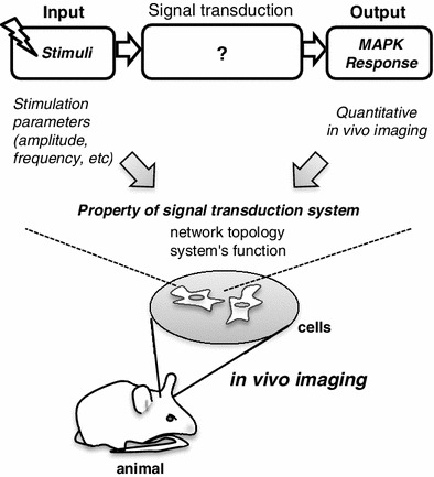 Fig. 3