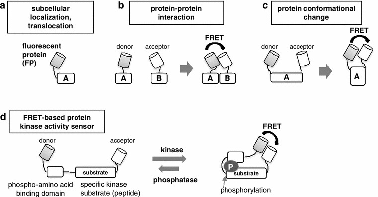 Fig. 2