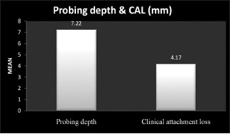 Graph 3