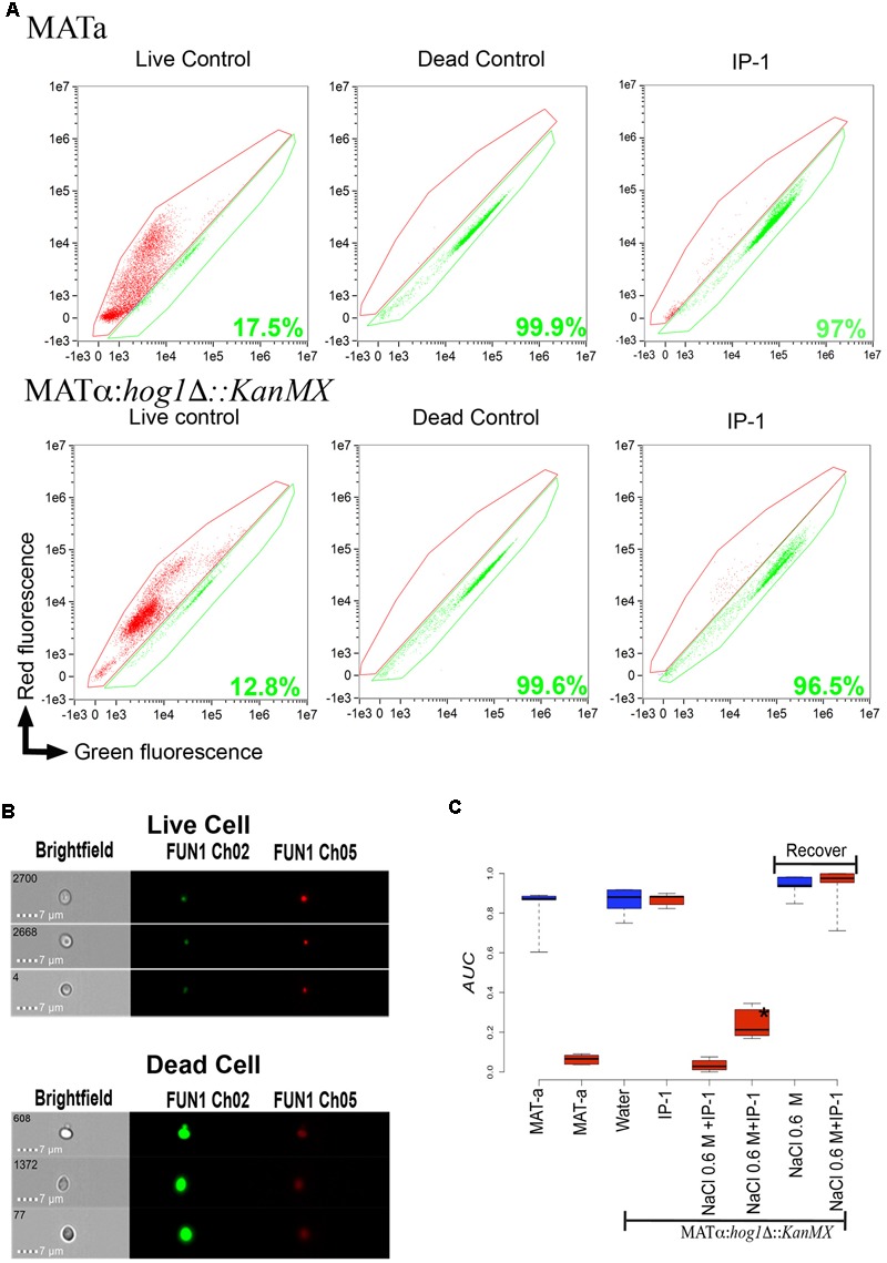 FIGURE 1